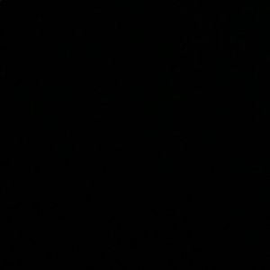 Meet your Posher, Lilly